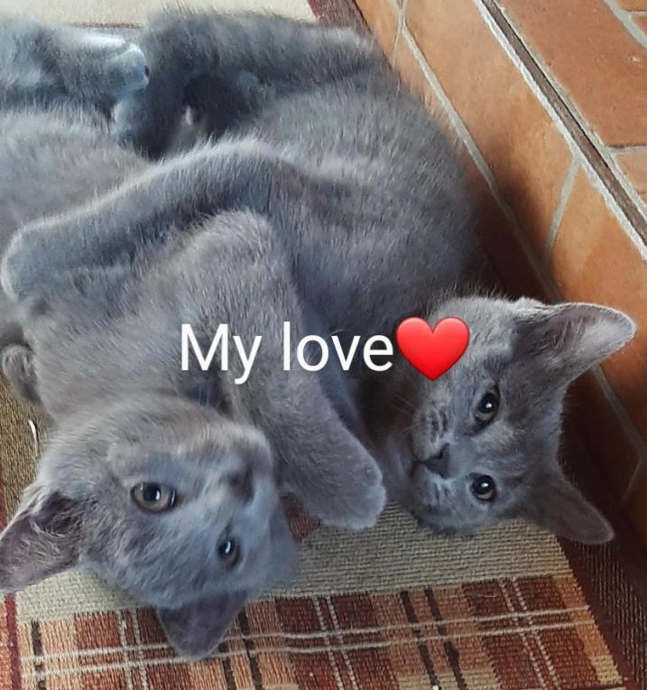 مبيت وإفطار دوماس دي ماريا Tom E Jerry المظهر الخارجي الصورة